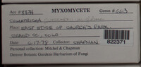 Image Associated With the Occurence